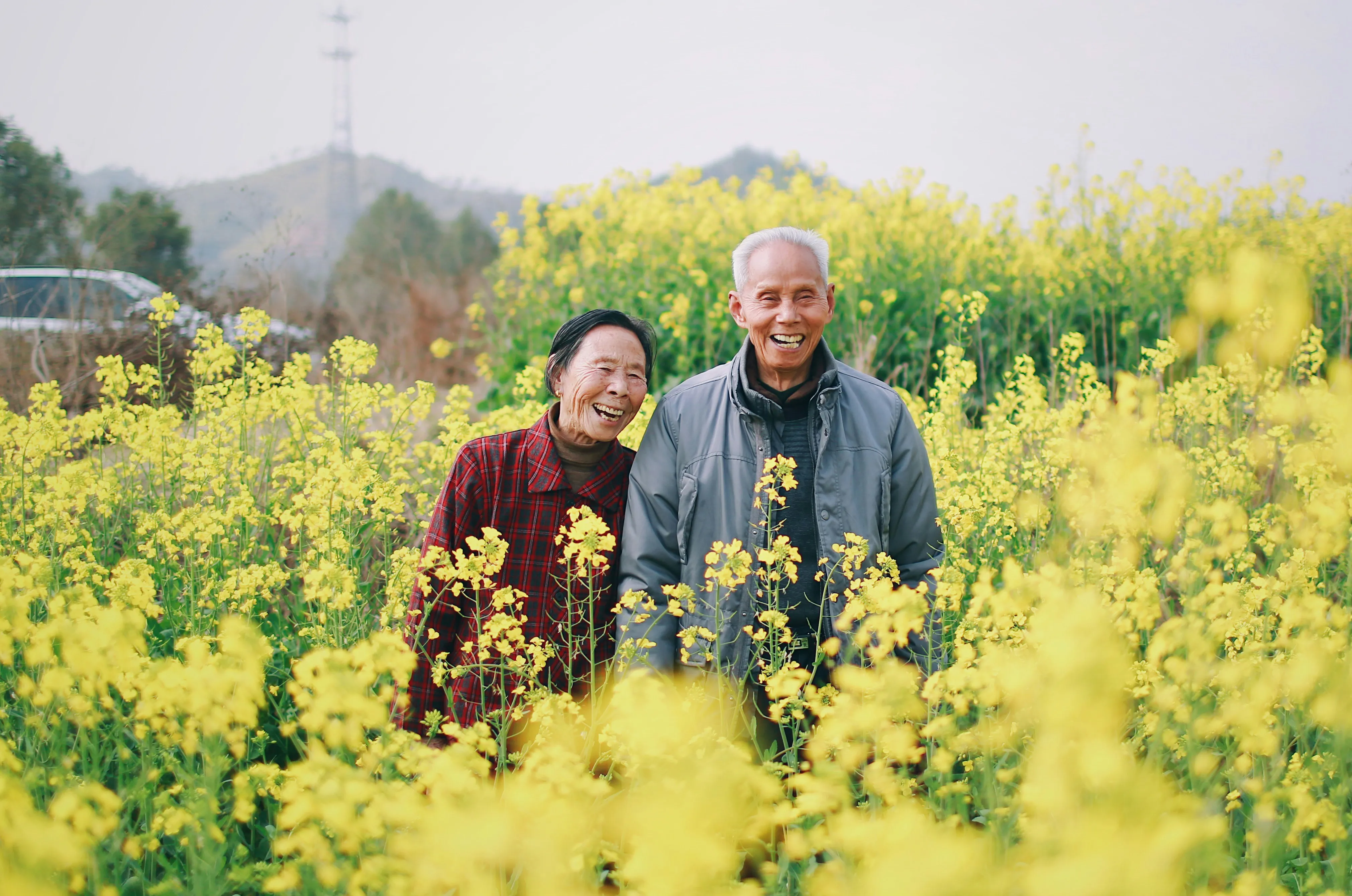 Two people walking together through a field of tall yellow flowers in low sun